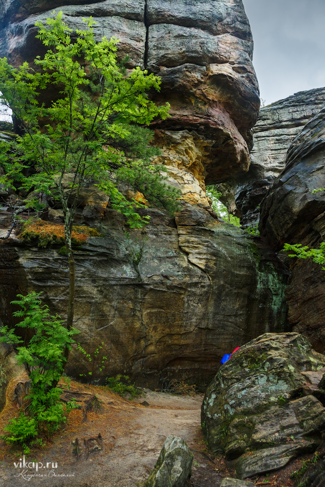 20170626 11 45 43 VIK 5104