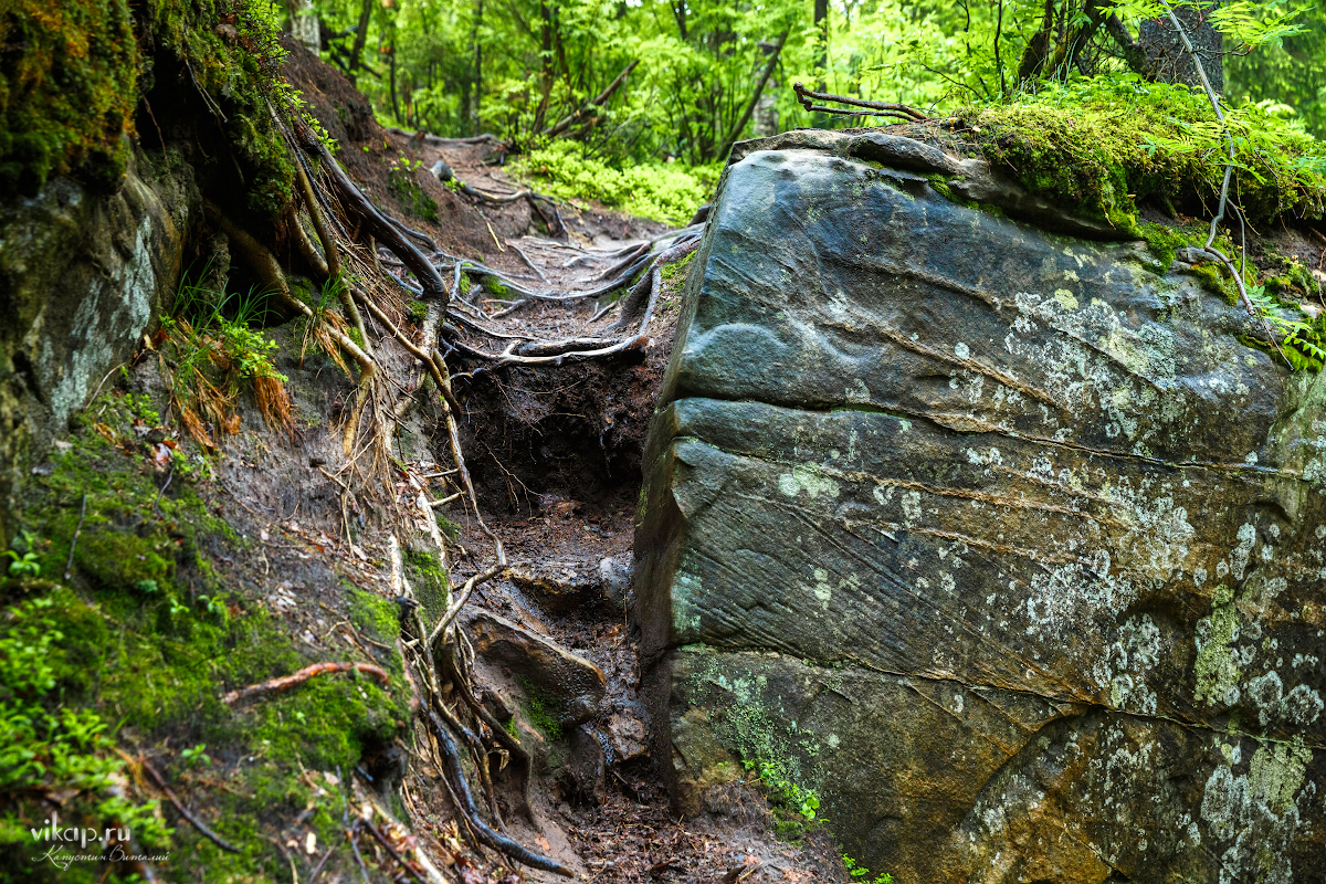 20170626 11 47 24 VIK 5107