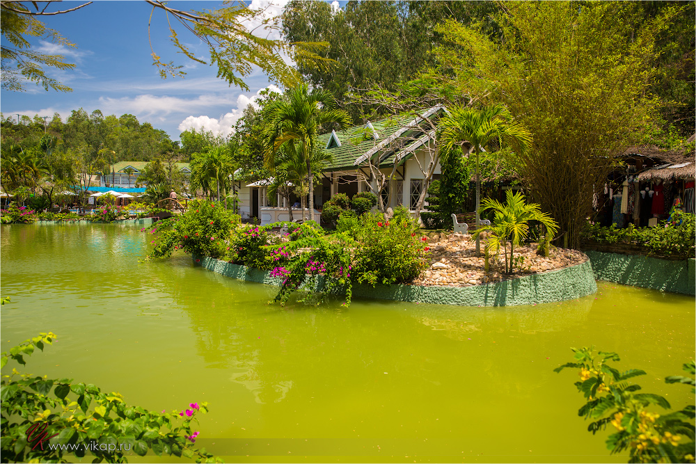 20140508 07 49 02 WED 7744