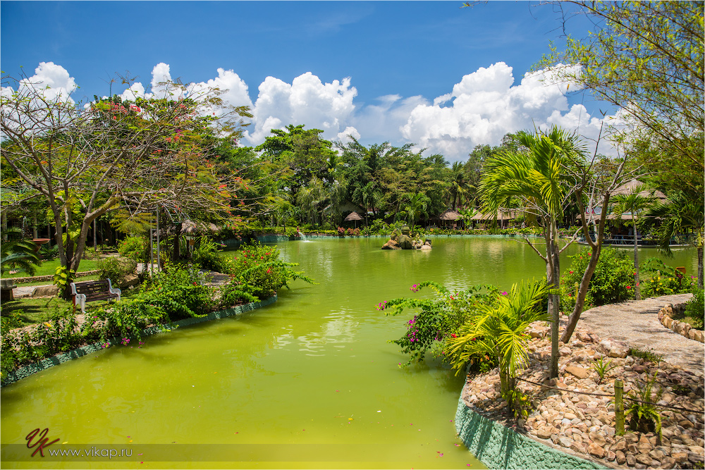 20140508 08 04 09 WED 7782