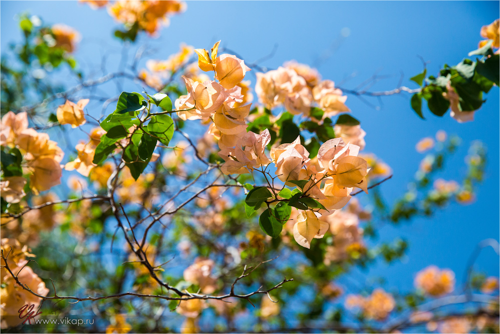 20140508 08 27 55 WED 7835