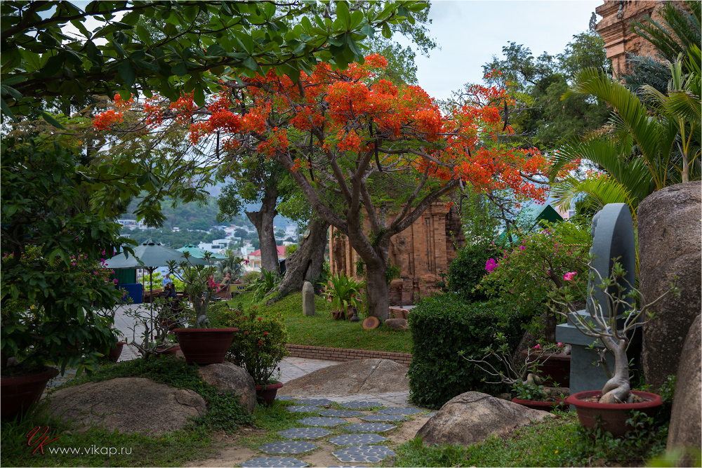 20140508 14 09 16 WED 8010