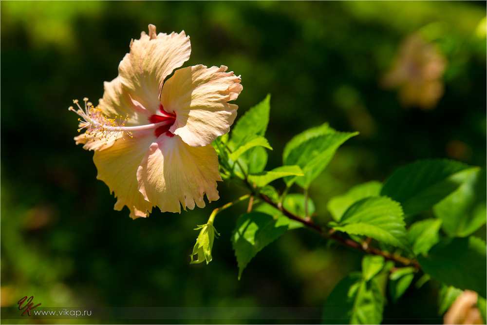 20140509 08 22 06 WED 8110