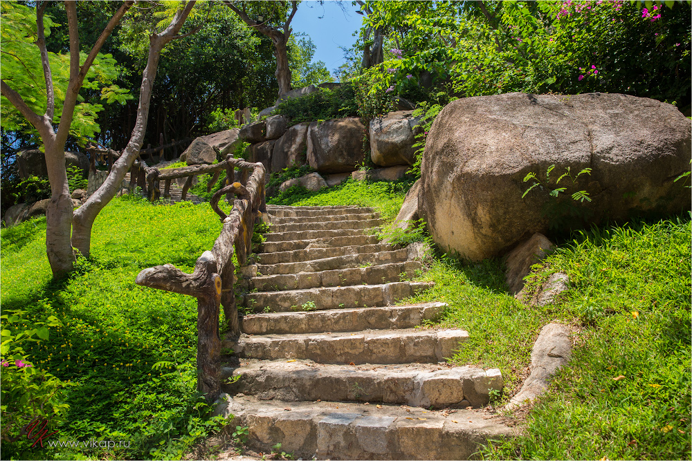 20140509 08 23 02 WED 8111