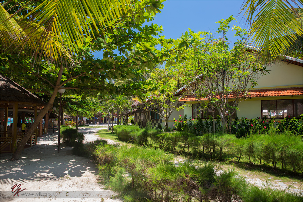 20140510 08 44 50 WED 8250