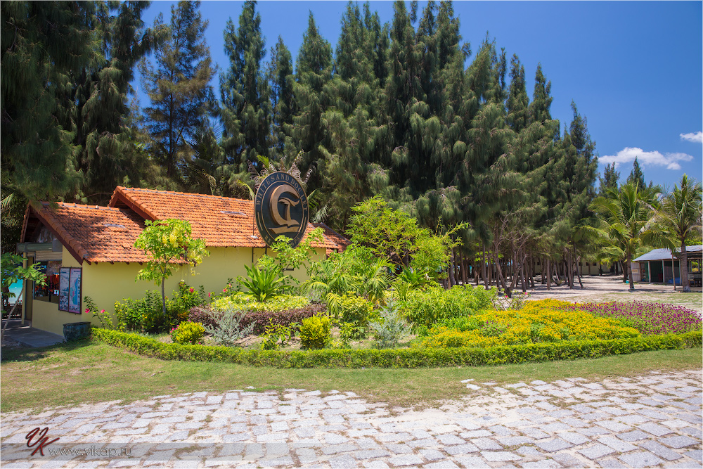 20140510 08 48 12 WED 8254