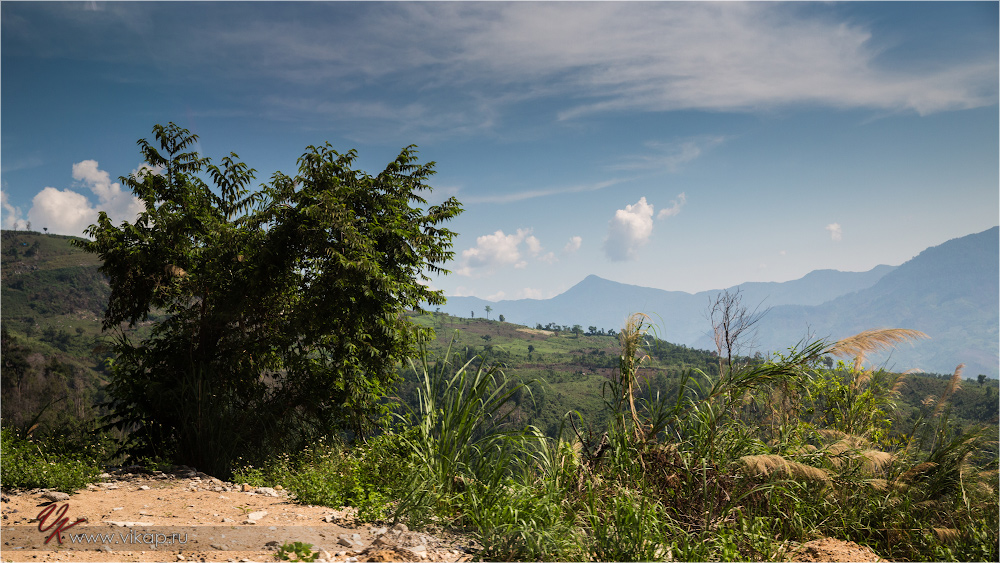 20140512 05 37 49 WED 8449