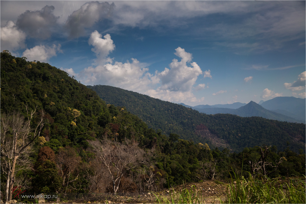 20140512 05 41 41 WED 8467