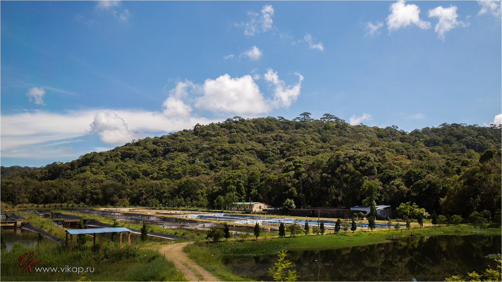 20140512 06 17 53 WED 8520