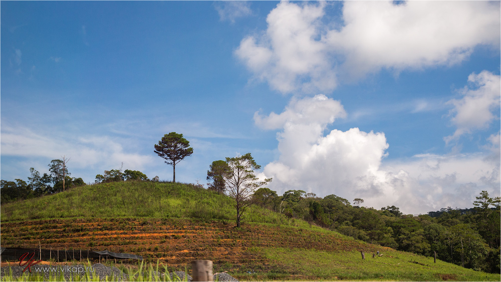 20140512 06 19 32 WED 8524