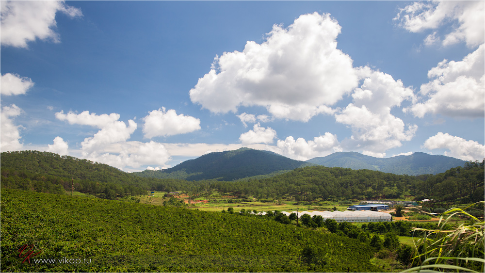 20140512 06 44 56 WED 8564