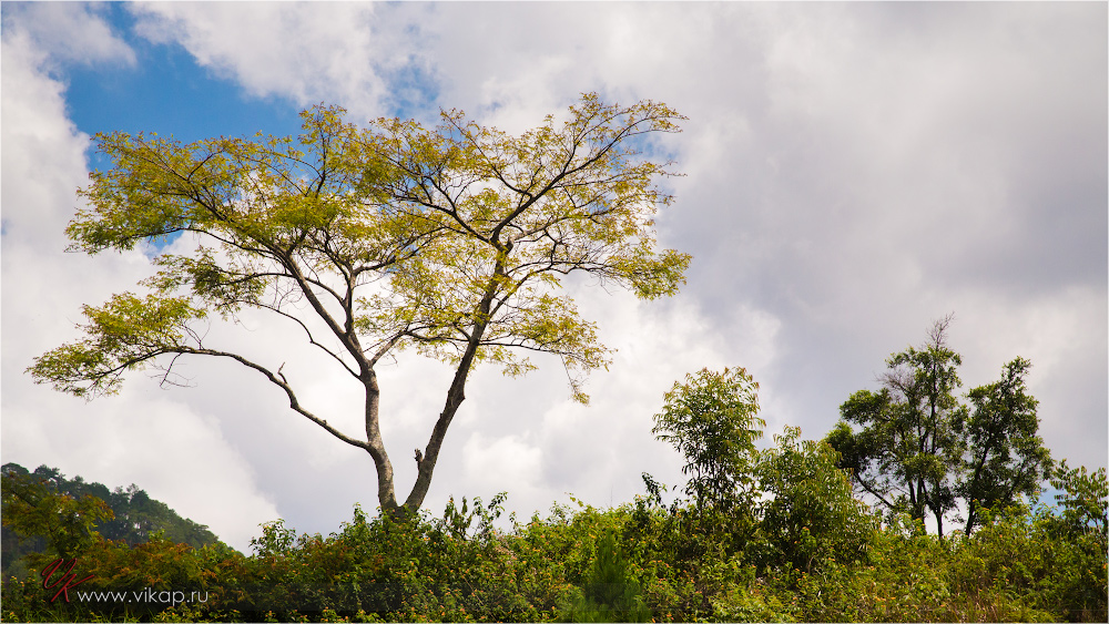 20140512 07 00 35 WED 8581