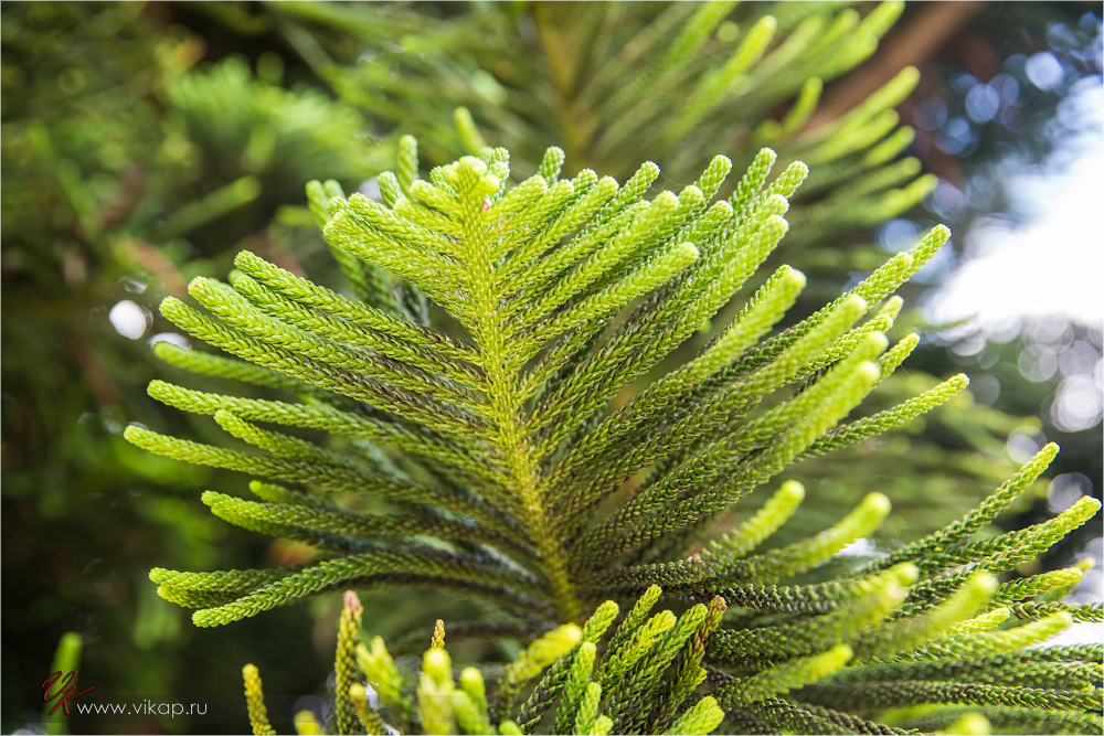 20140512 08 04 24 WED 8645