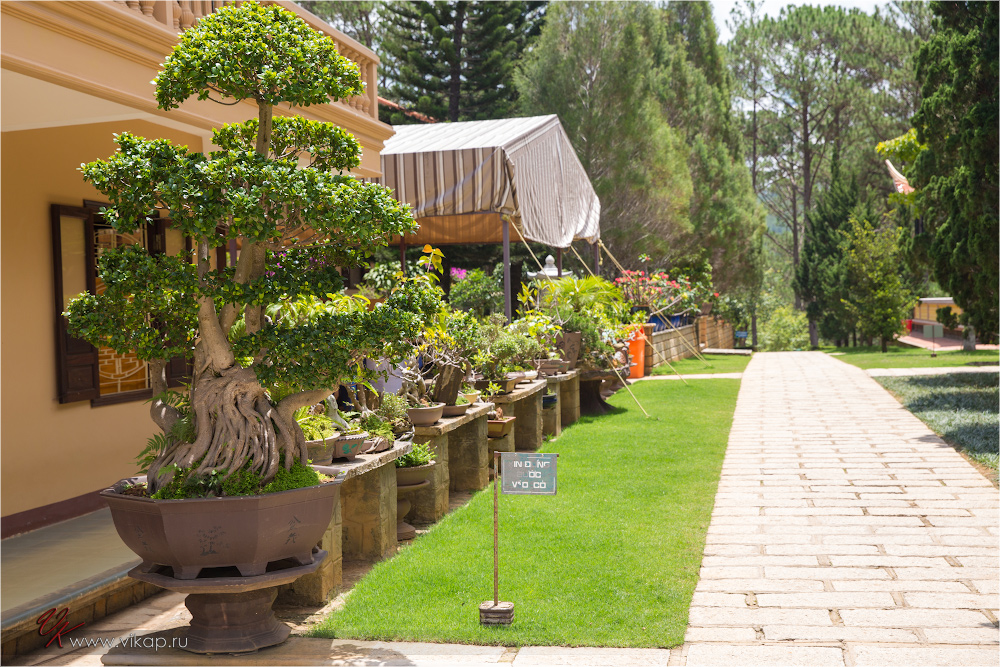 20140512 08 09 17 WED 8662