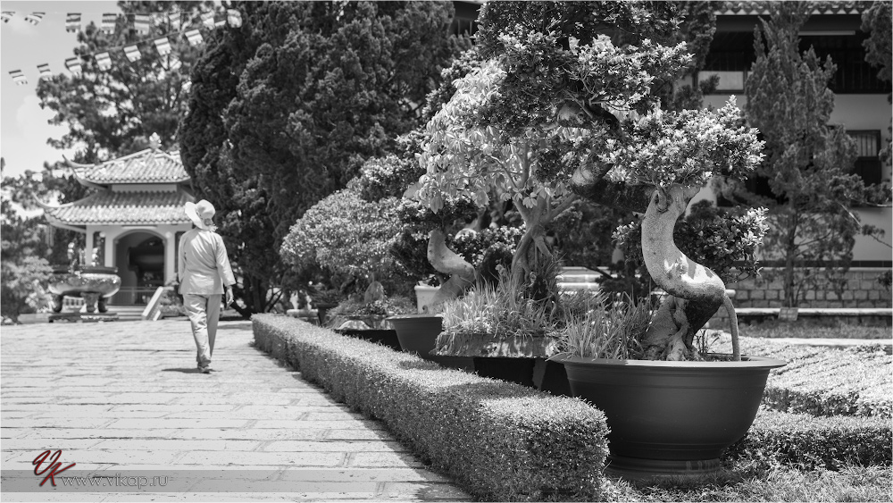 20140512 08 27 14 WED 8708