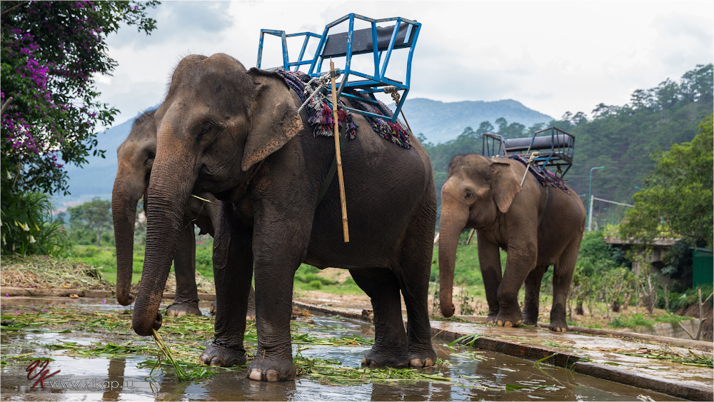 20140512 09 22 08 WED 8785