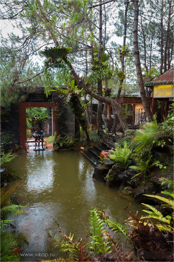 20140512 12 41 27 WED 8973