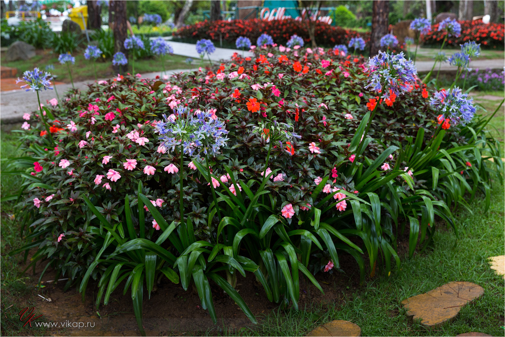 20140512 13 26 15 WED 8980