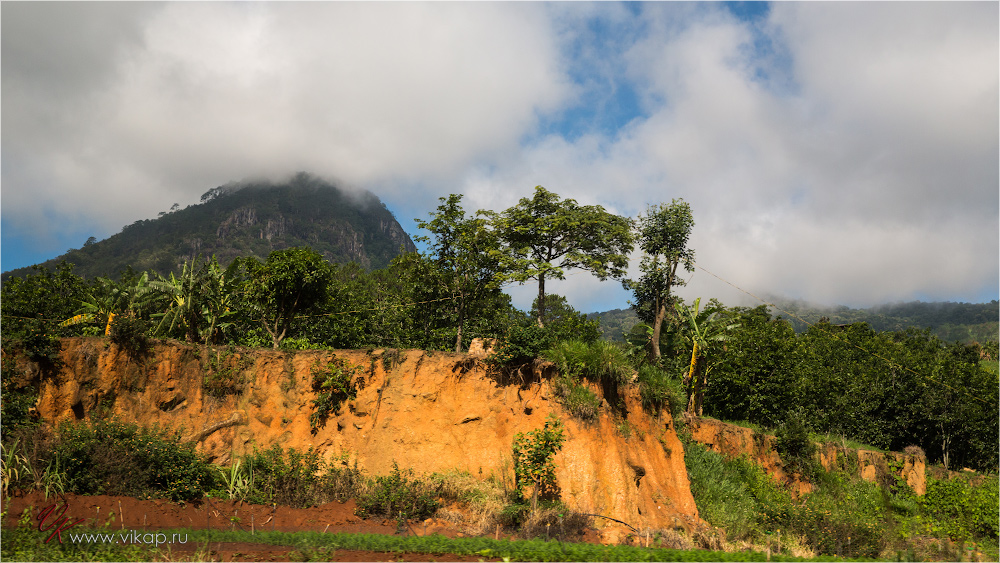 20140513 05 13 31 WED 9034