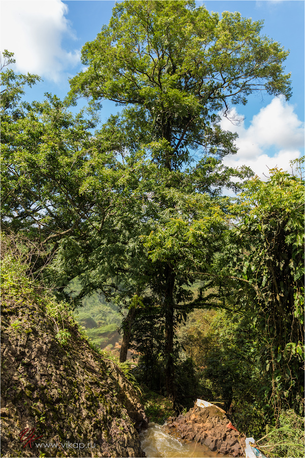 20140513 06 11 17 WED 9078