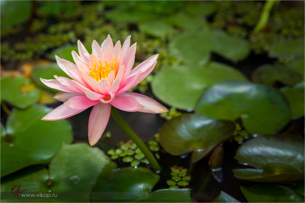 20140513 08 59 07 WED 9221