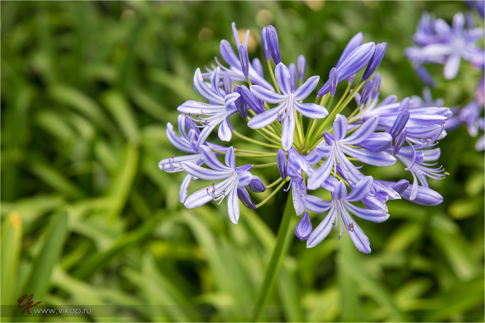 20140513 09 27 56 WED 9261