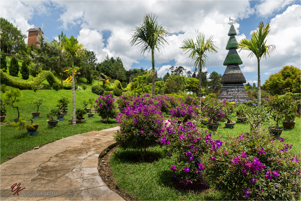 20140513 09 33 41 WED 9274