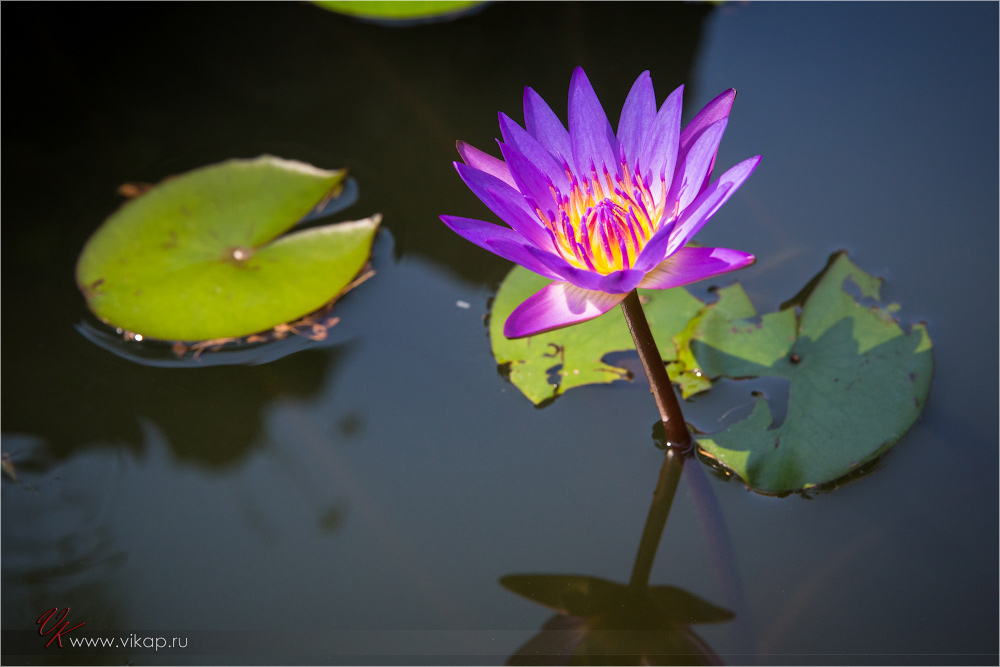 20140515 06 13 29 WED 9481