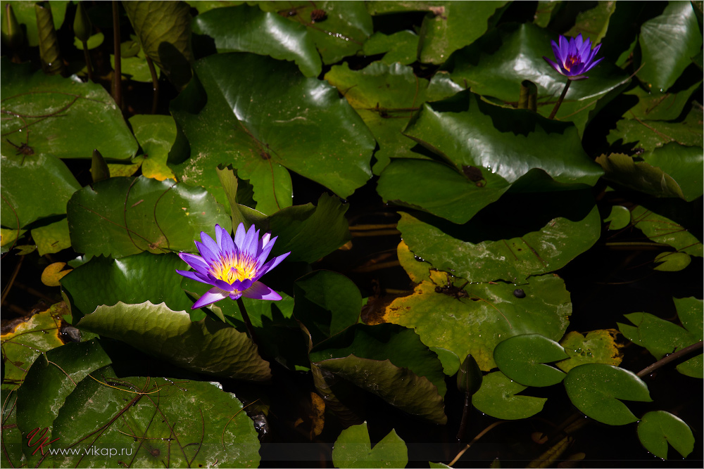 20140515 10 25 59 WED 9771