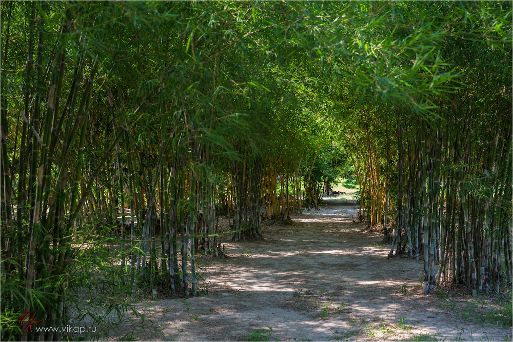 20140515 11 12 29 WED 9864