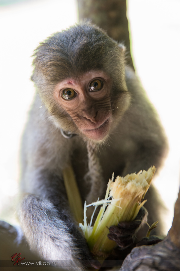 20140515 11 26 45 WED 9909