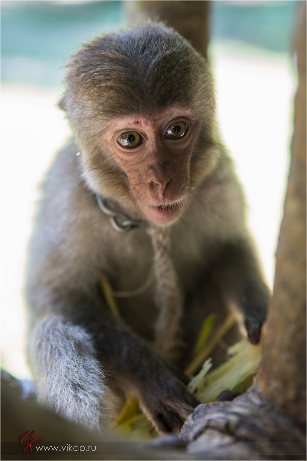 20140515 11 26 56 WED 9913