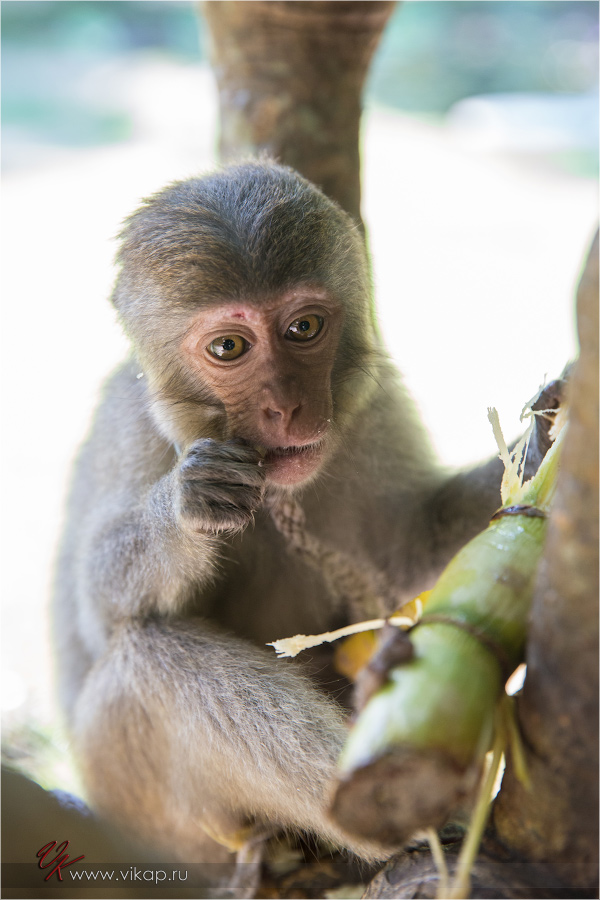 20140515 11 27 22 WED 9915