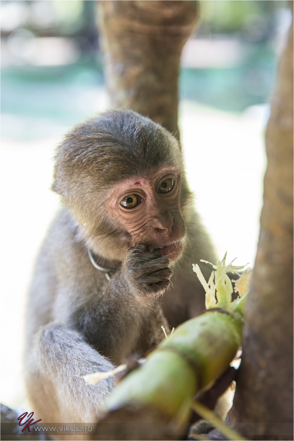 20140515 11 27 37 WED 9923